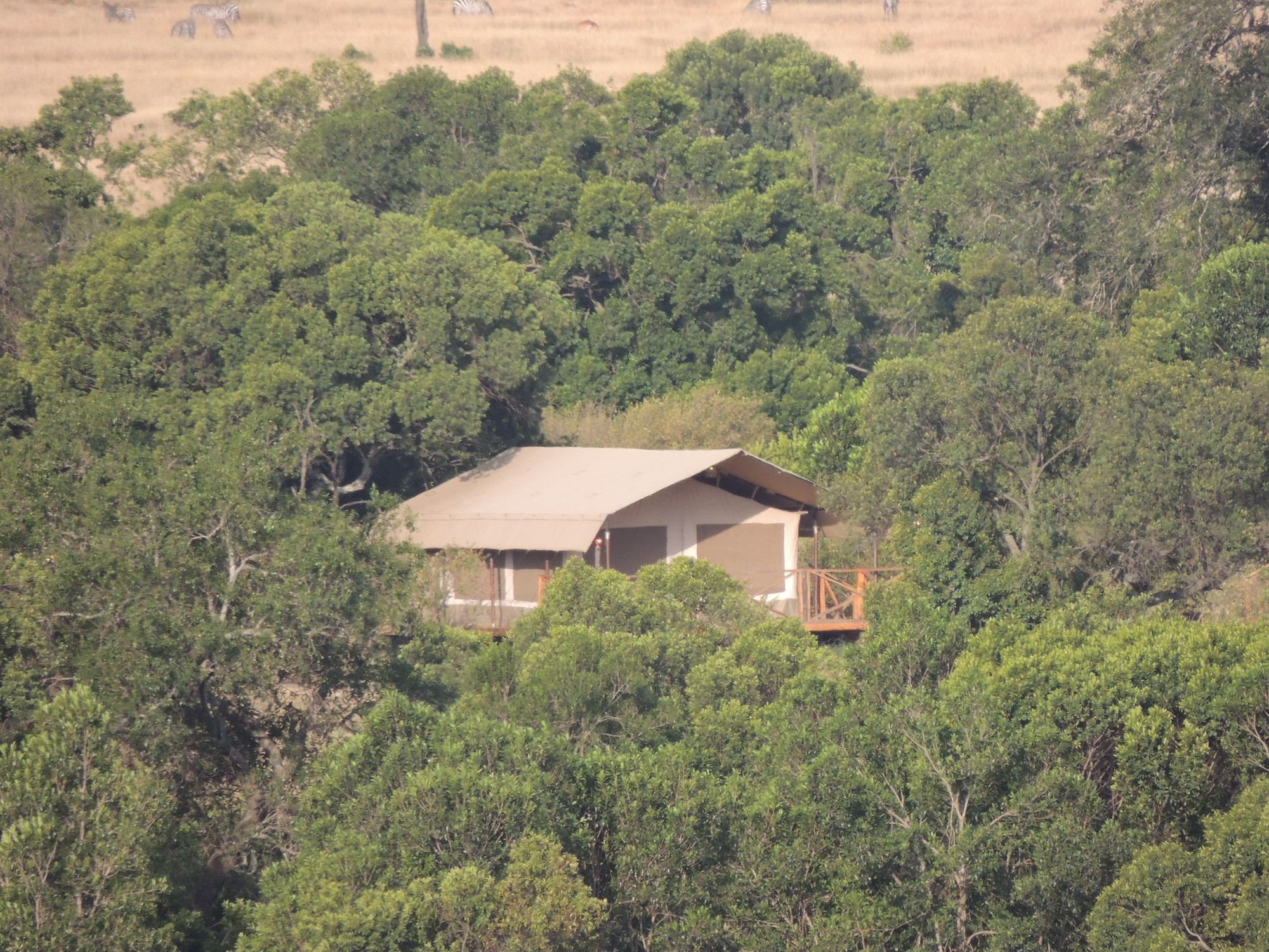 Loyk Mara Luxury Camp Ξενοδοχείο Μασάι Μάρα Εξωτερικό φωτογραφία