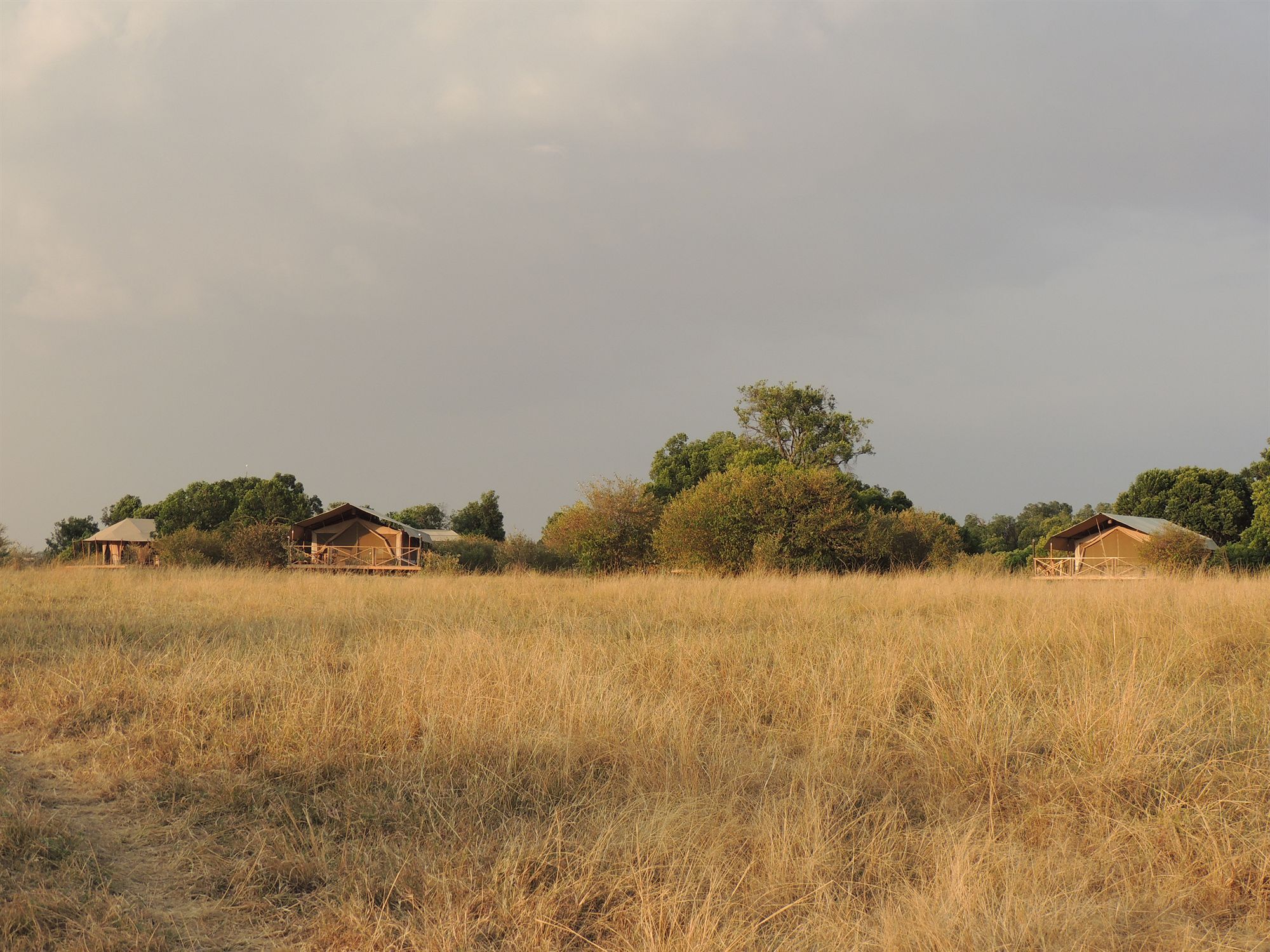 Loyk Mara Luxury Camp Ξενοδοχείο Μασάι Μάρα Εξωτερικό φωτογραφία