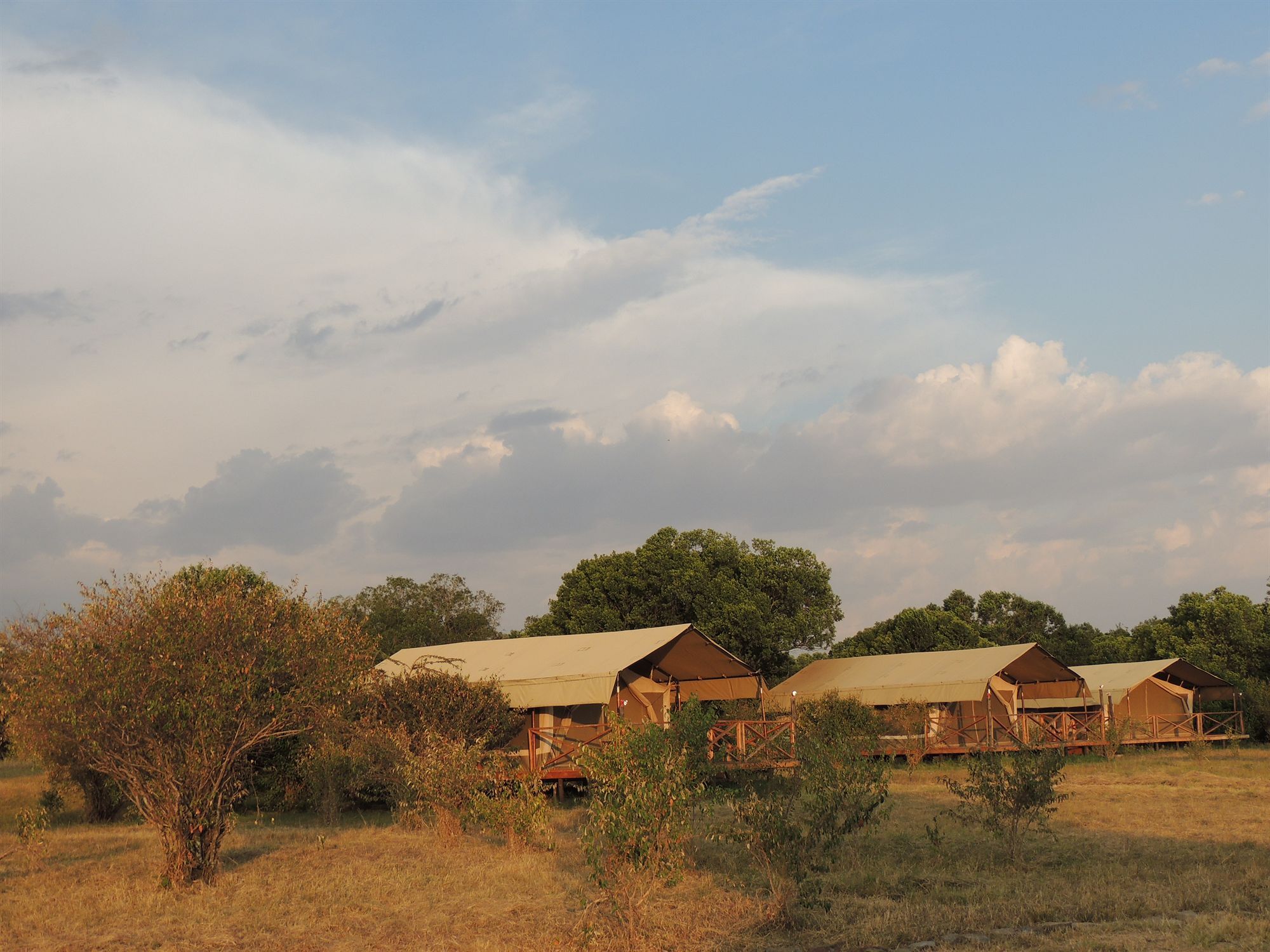 Loyk Mara Luxury Camp Ξενοδοχείο Μασάι Μάρα Εξωτερικό φωτογραφία