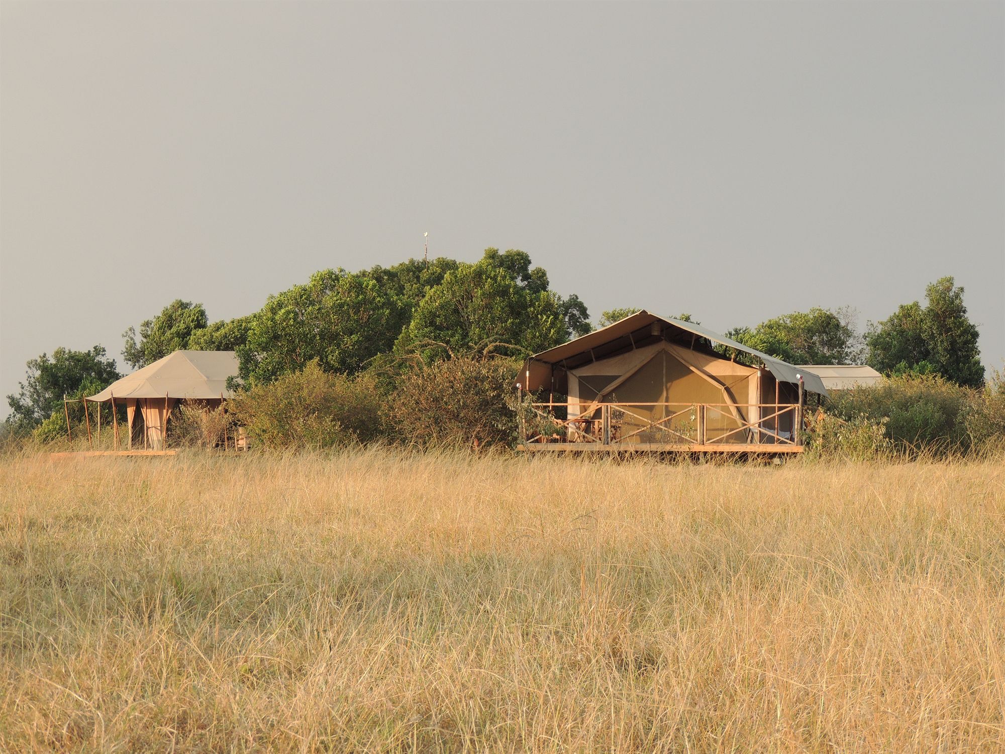 Loyk Mara Luxury Camp Ξενοδοχείο Μασάι Μάρα Εξωτερικό φωτογραφία
