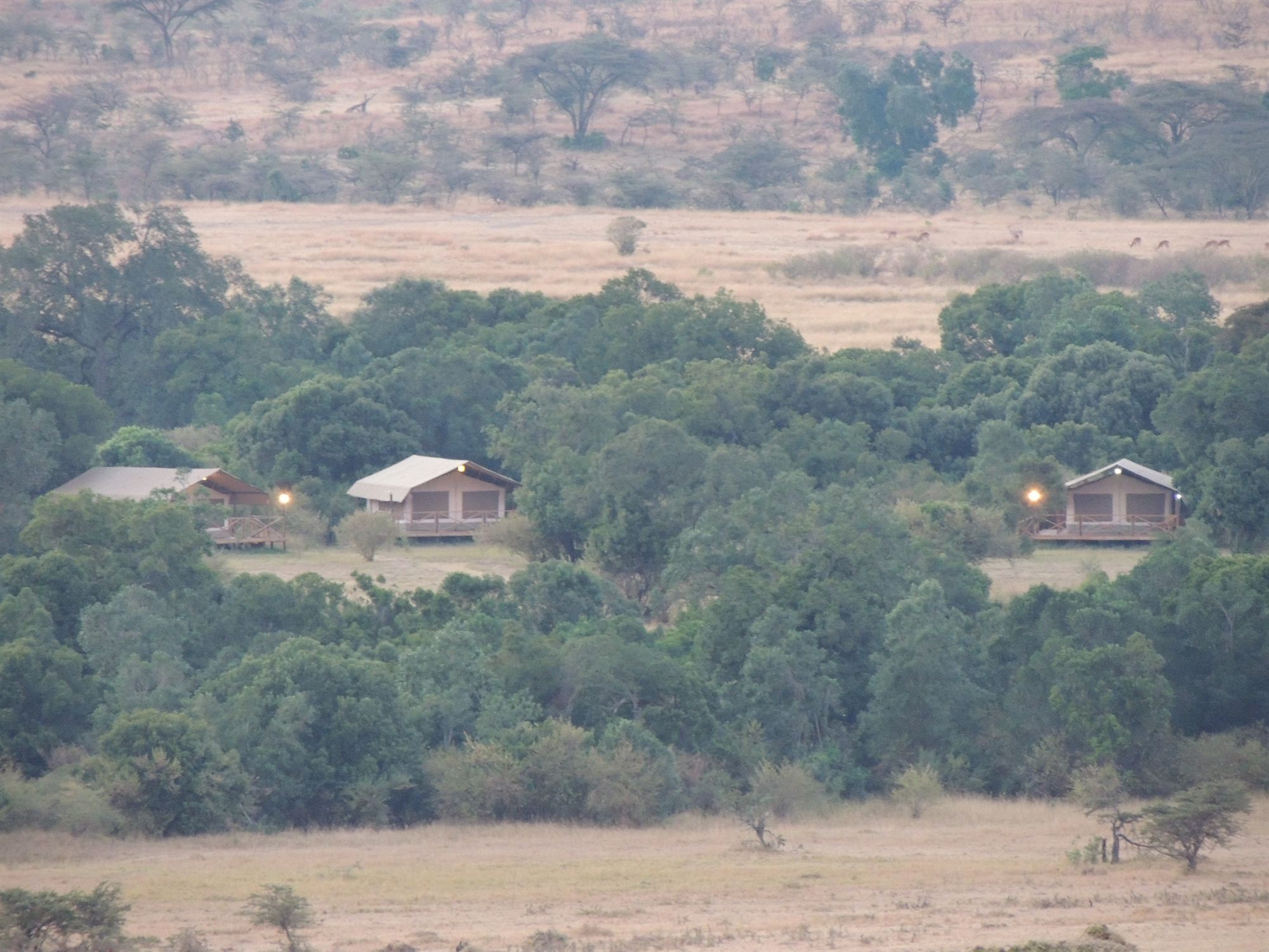 Loyk Mara Luxury Camp Ξενοδοχείο Μασάι Μάρα Εξωτερικό φωτογραφία